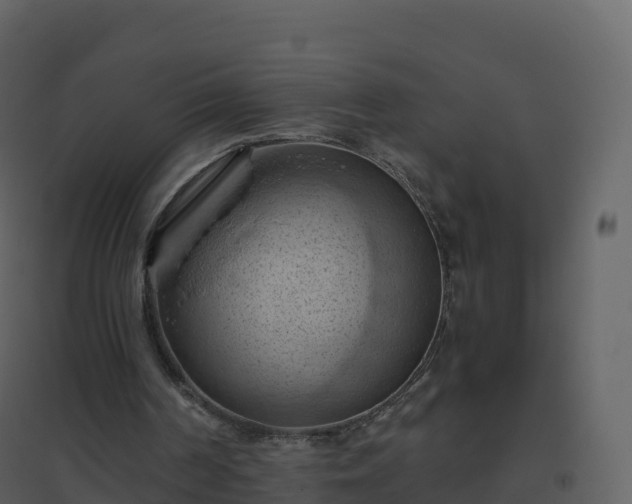 X0000096640194200802121118