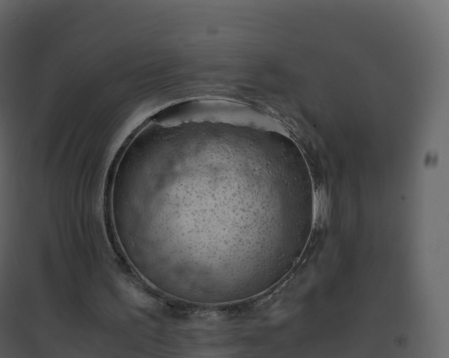 X0000096640195200802121118
