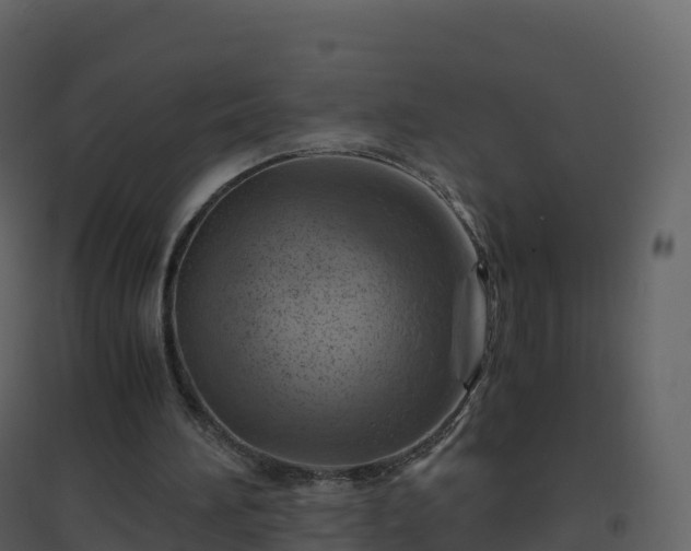 X0000096640196200802121118