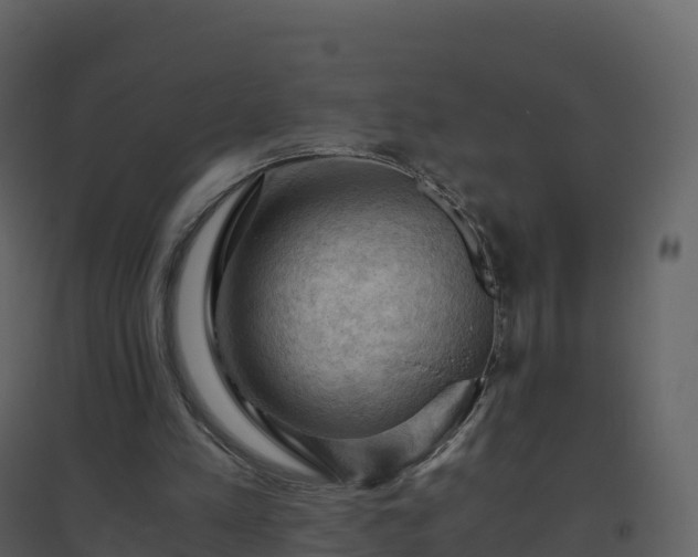 X0000096640197200802121118