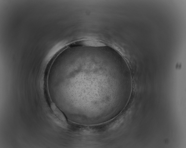 X0000096640199200802121118