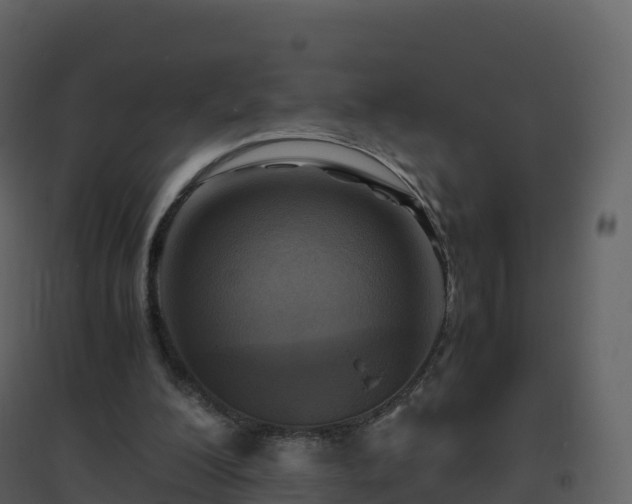 X0000096640200200802121118