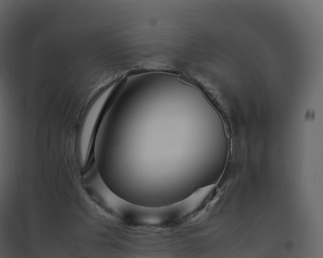X0000096640201200802121118