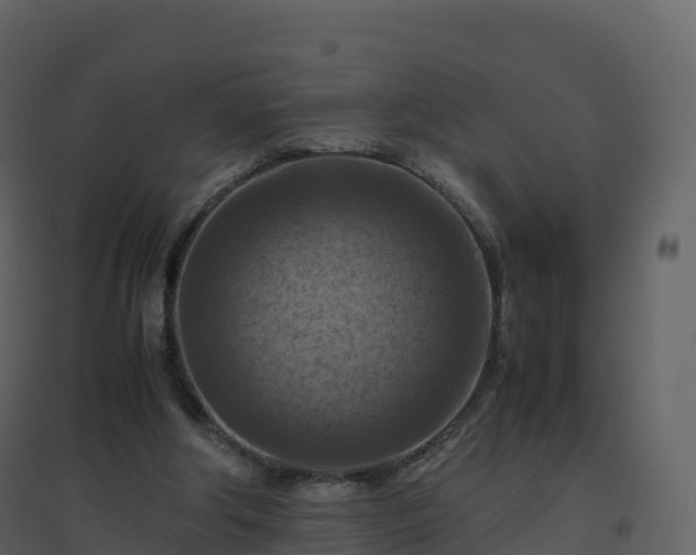 X0000096640202200802121118