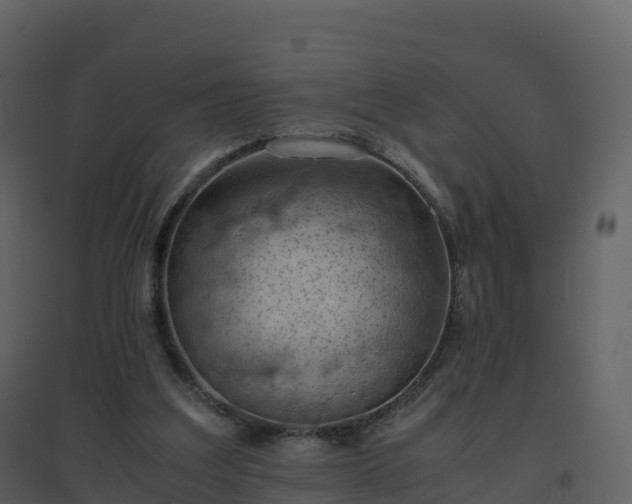 X0000096640203200802121117