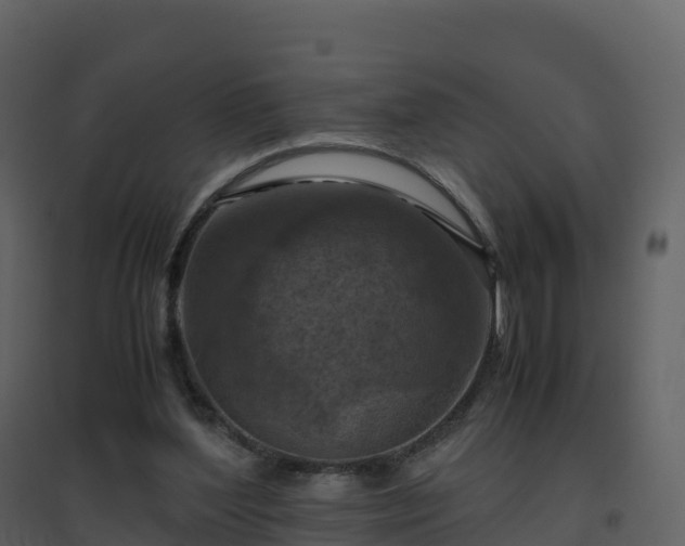 X0000096640204200802121117
