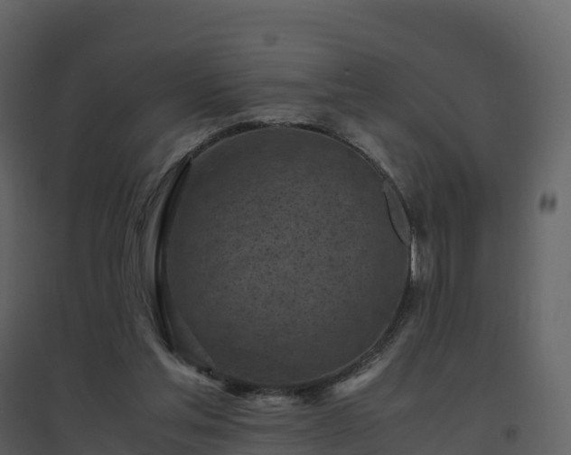 X0000096640205200802121117