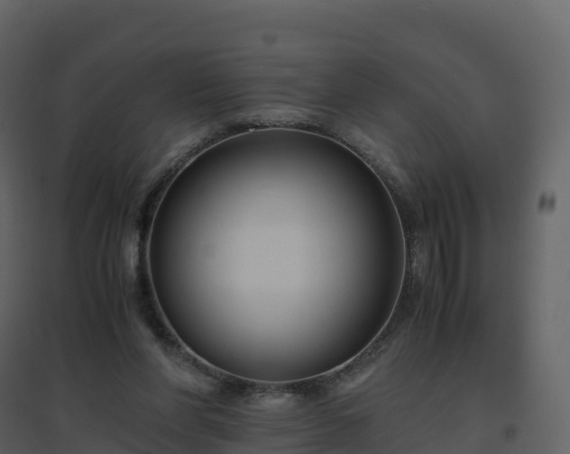 X0000096640206200802121117