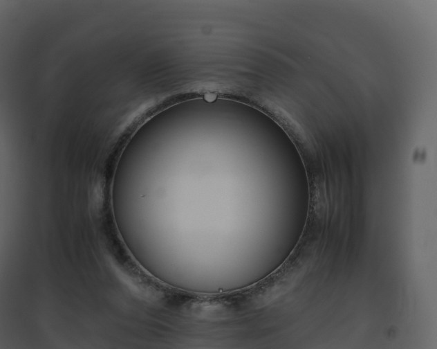 X0000096640208200802121117
