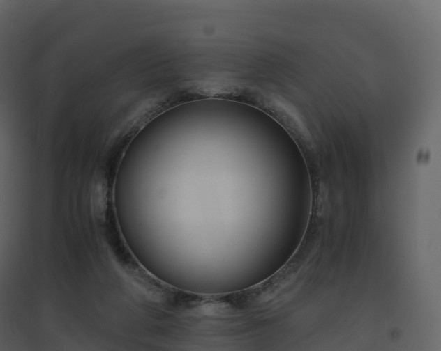 X0000096640210200802121117