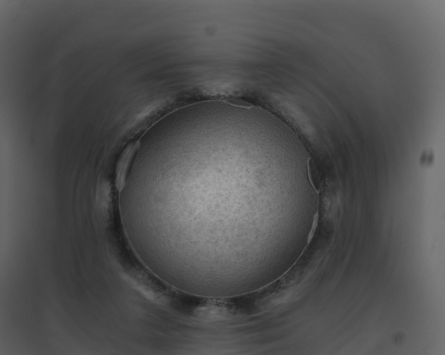 X0000096640211200802121117