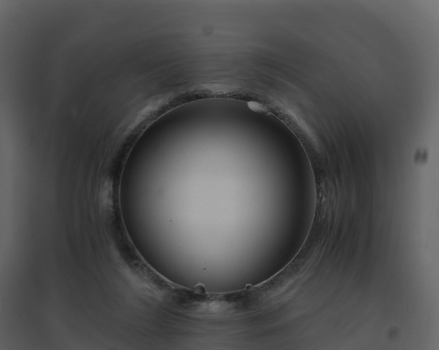 X0000096640212200802121117