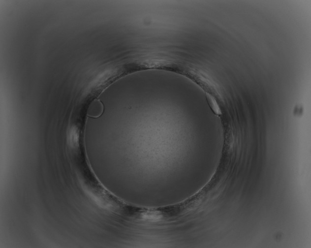 X0000096640214200802121117