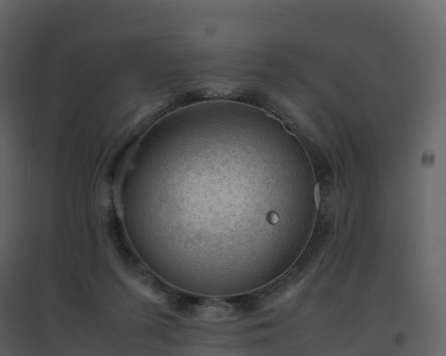 X0000096640215200802121117