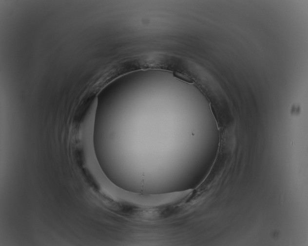 X0000096640217200802121117