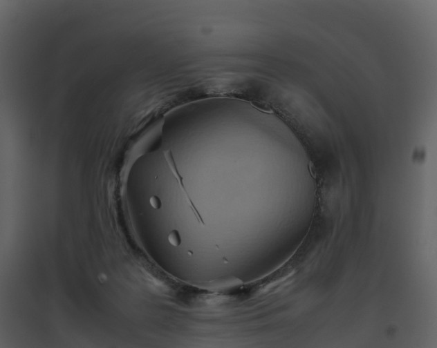 X0000096640219200802121117