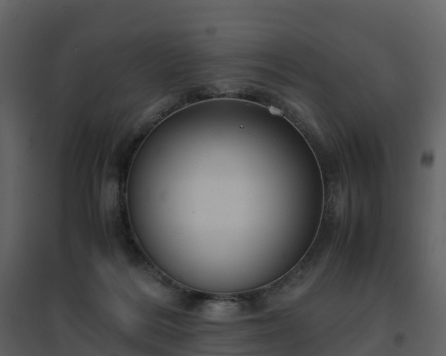 X0000096640220200802121117