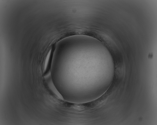 X0000096640221200802121117