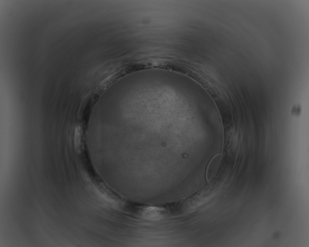 X0000096640222200802121117