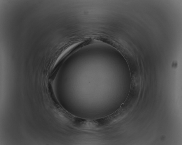 X0000096640223200802121117