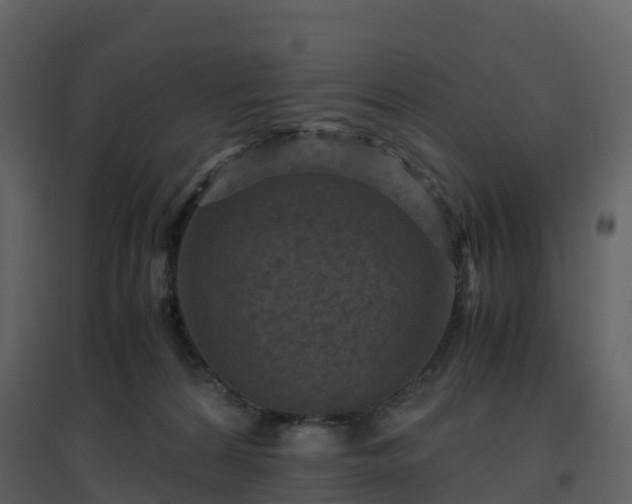X0000096640224200802121117