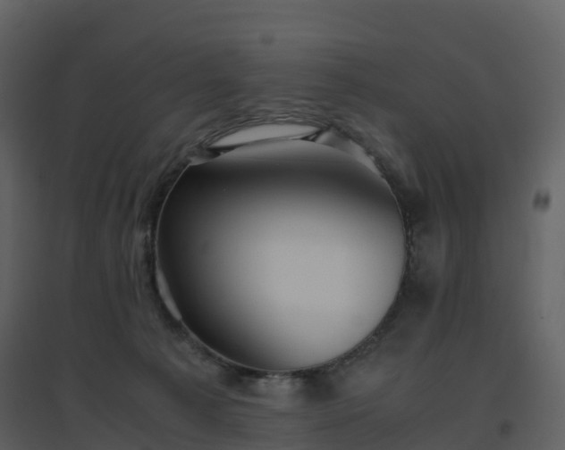 X0000096640225200802121117