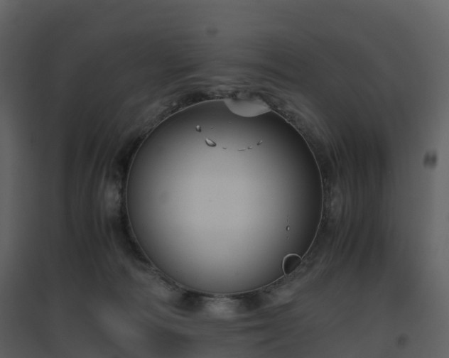 X0000096640226200802121117