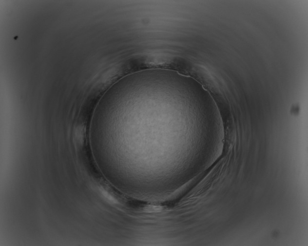 X0000096640227200802121117