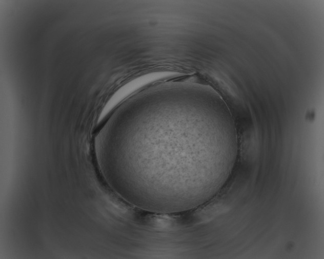 X0000096640229200802121117
