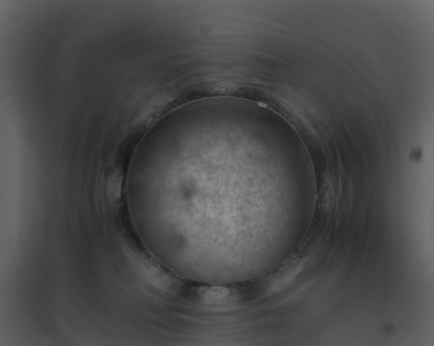 X0000096640230200802121117