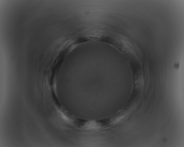 X0000096640231200802121117