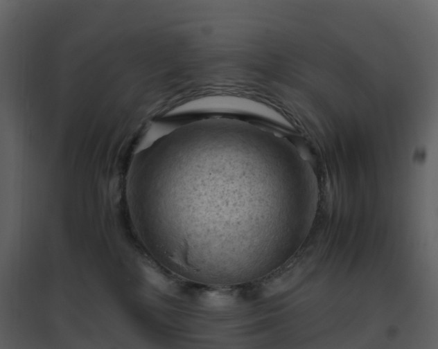 X0000096640232200802121117