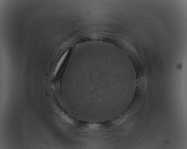 X0000096640233200802121117