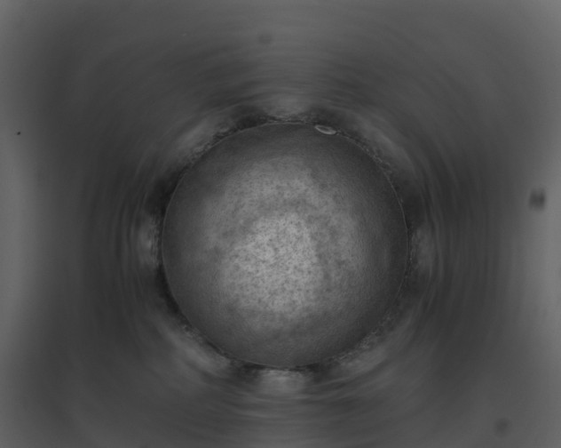 X0000096640234200802121117