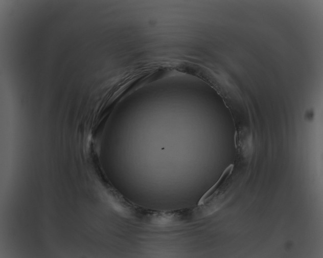 X0000096640235200802121117