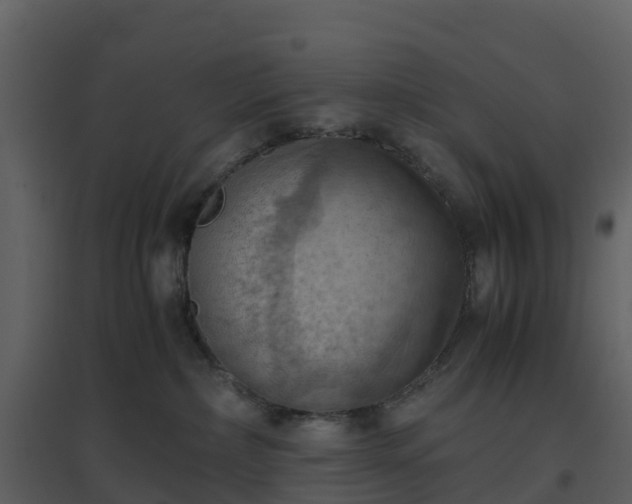X0000096640236200802121117