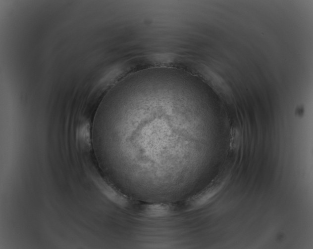 X0000096640238200802121117