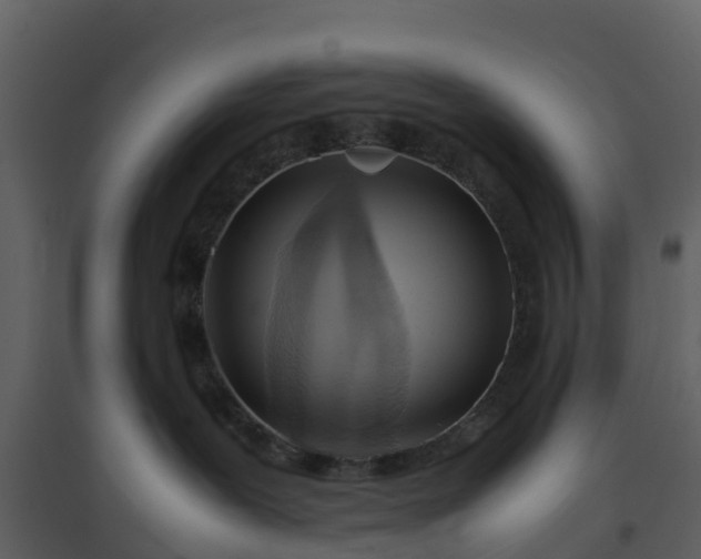 X0000096640239200802121117