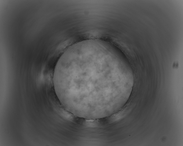 X0000096640240200802121117