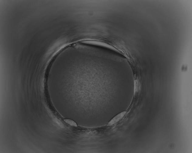 X0000096640243200802121116