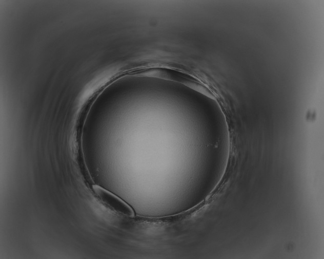 X0000096640245200802121116