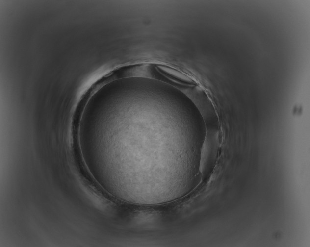 X0000096640248200802121116