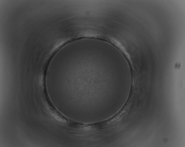 X0000096640249200802121116