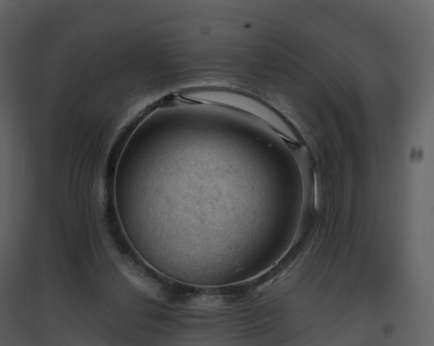 X0000096640252200802121116