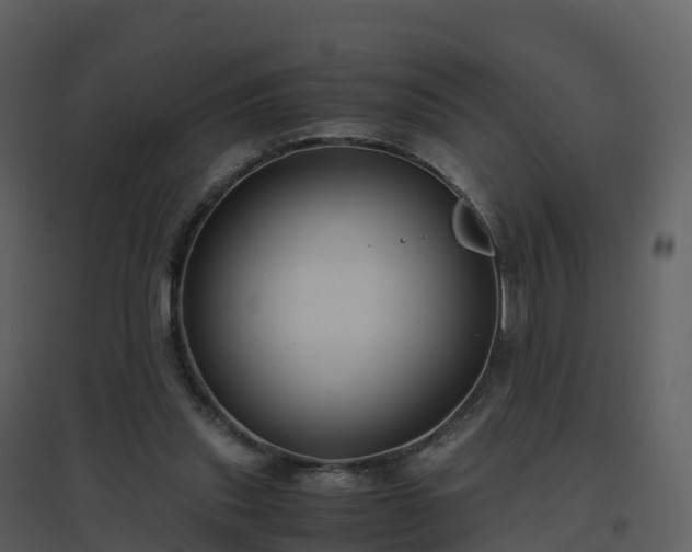 X0000096640253200802121116