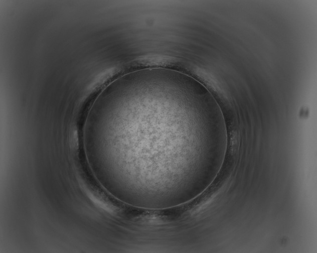 X0000096640254200802121116