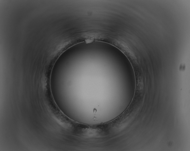 X0000096640255200802121117