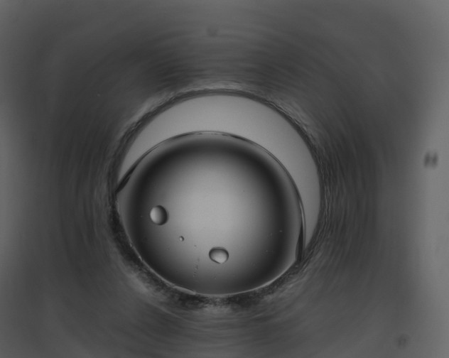 X0000096640256200802121117