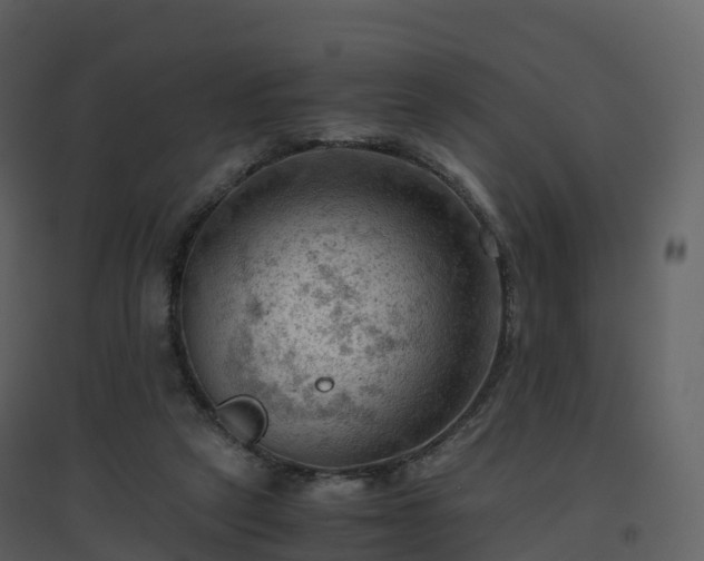 X0000096640257200802121117