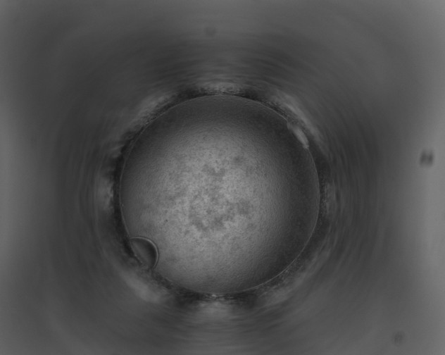 X0000096640259200802121117
